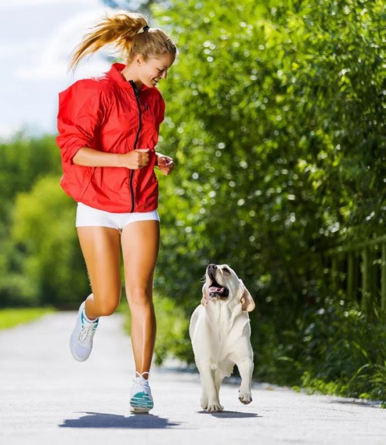 How Can Dogs Keep You Fit And Healthy?