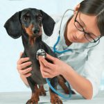 infectious pneumonia | accurate diagnosis