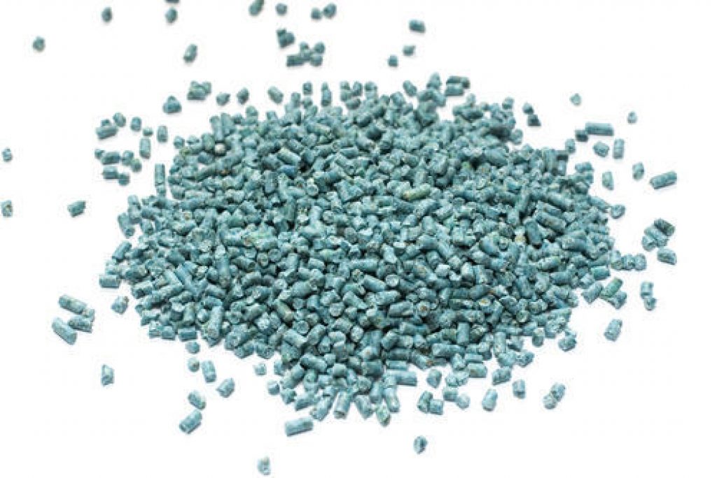 How To Treat Your Dog for Rat Poison Ingestion (FirstAid, Recovery