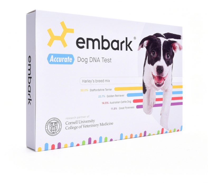 The Best Dog DNA Test Kits of 2022 Which One Is Right for Your Pet?