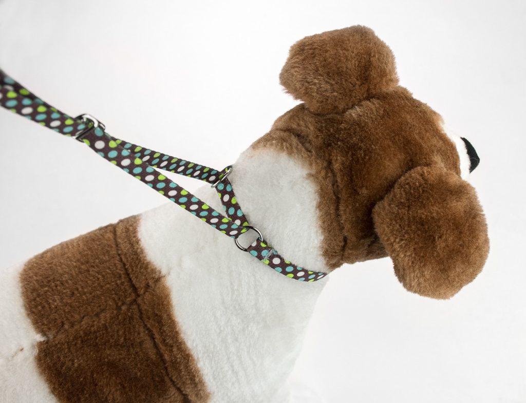 Best Dog Leashes Reviews A Guide to Choosing the Perfect Leash!