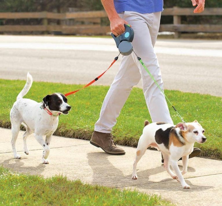 Best Dog Leashes Reviews A Guide to Choosing the Perfect Leash!