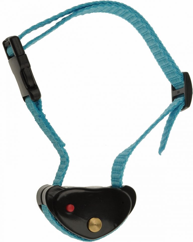 12 Best Bark Collars of 2024 [For All Sizes And Temperaments]