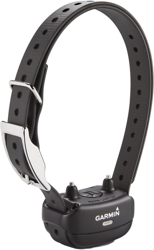 12 Best Bark Collars of 2024 [For All Sizes And Temperaments]