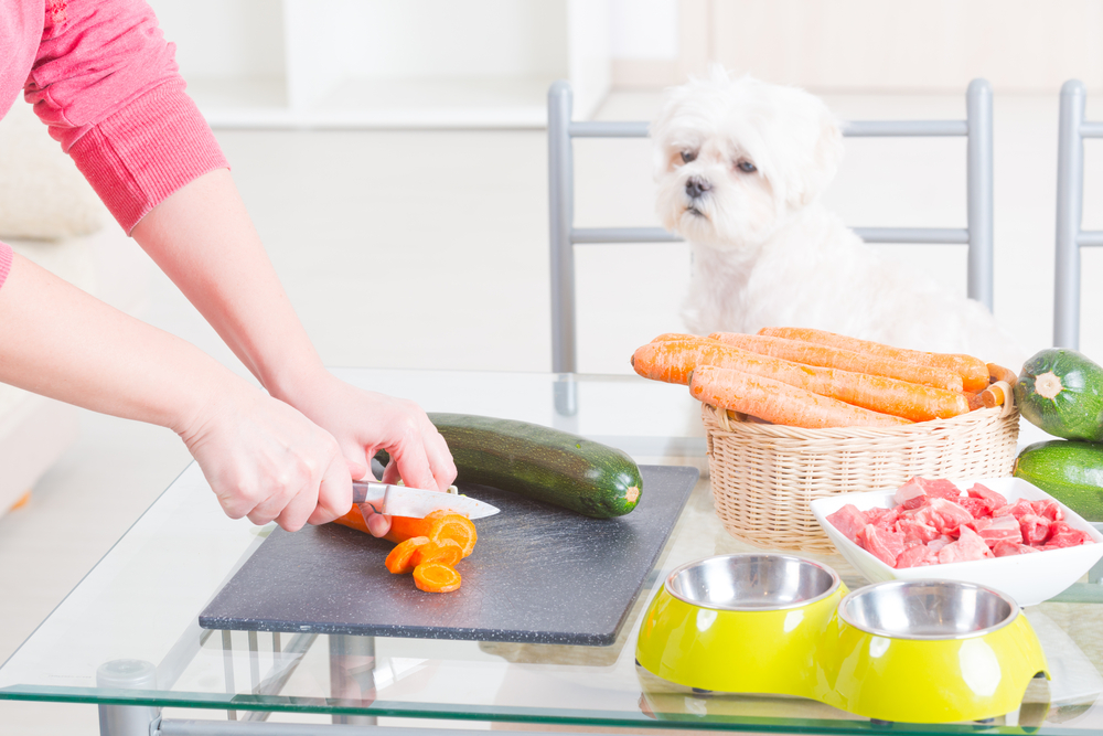 How Much Fresh Food to Feed a Dog [The General Rule]