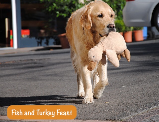 a dog walks on street with him toy in mouth and text Fish and Turkey Feast